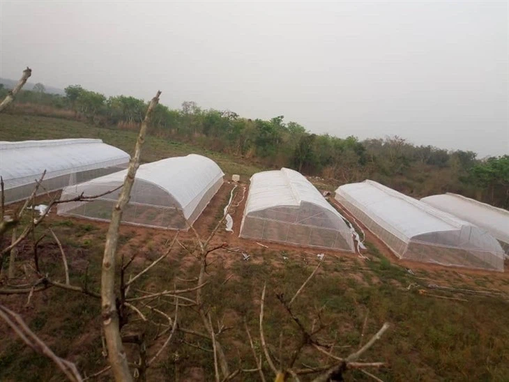 NGA-Tunnel Greenhouse 3.2