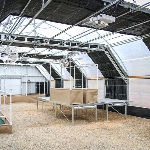 Greenhouse Blackout