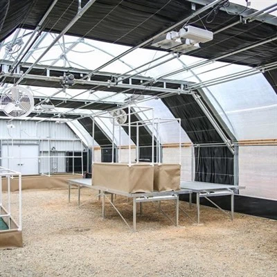 Коммерческая теплица с депривацией света