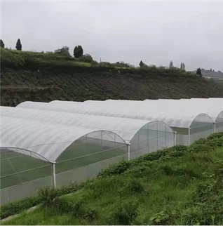 Готическая Арка Теплица