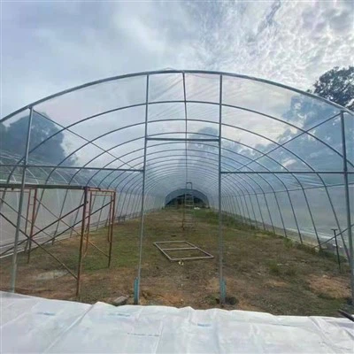 Дом с высоким туннелем и кольцом